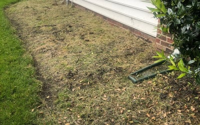 Photo of Keno C.'s yard after getting tree care in Kannapolis, NC