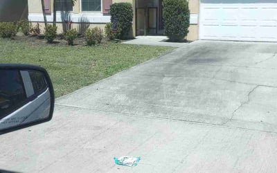 Photo of Karen R.'s yard after getting landscaping in Titusville, FL