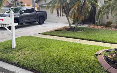 Photo of Geri C.'s yard after getting tree care in Sebastian, FL