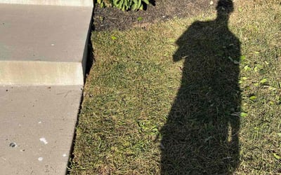 Photo of efua t.'s yard after getting landscaping in Brookeville, MD