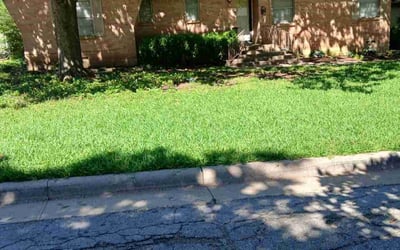 Photo of Adam P.'s yard after getting landscaping in Dallas, TX
