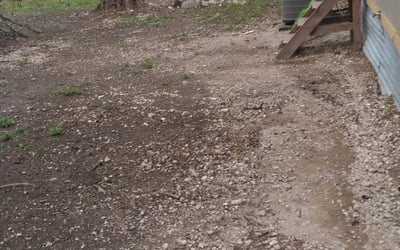 Photo of Brittany K.'s yard after getting tree care in Converse, TX