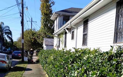 Photo of Carolyn j.'s yard after getting landscaping in Pearl River, LA