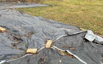 Photo of Julia L.'s yard after getting landscaping in Fairland, IN