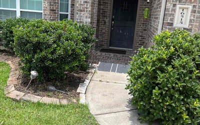 Photo of Kristopher G.'s yard after getting tree care in Abilene, TX