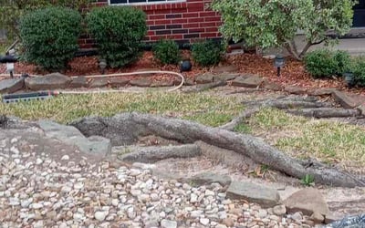 Photo of Hailey C.'s yard after getting tree care in Katy, TX