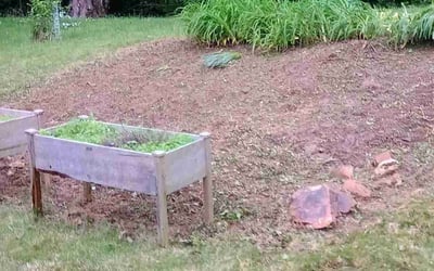 Photo of Mark E.'s yard after getting landscaping in Downingtown, PA