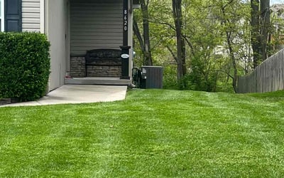 Photo of Ryan B.'s yard after getting landscaping in Pleasant Hill, MO
