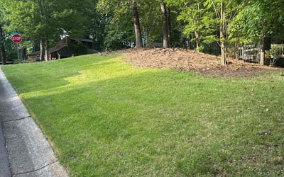 Photo of Willie T.'s yard after getting landscaping in Marietta, GA