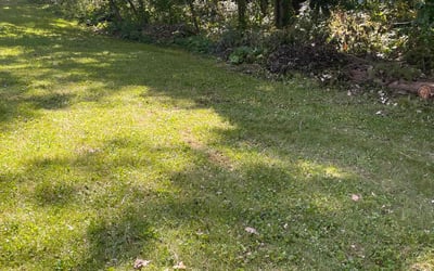 Photo of Jessica S.'s yard after getting landscaping in Okemos, MI