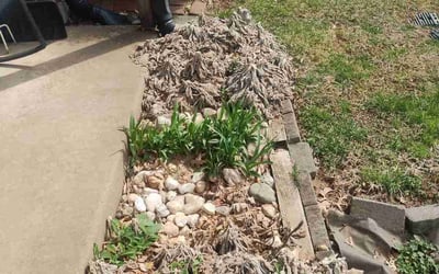 Photo of Nancy M.'s yard after getting landscaping in Schwenksville, PA