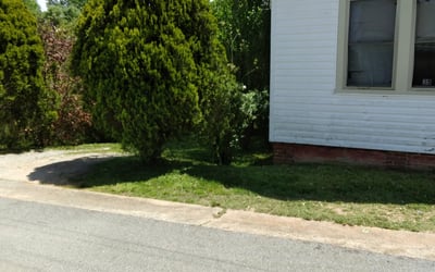 Photo of Damien K.'s yard after getting tree care in Newnan, GA