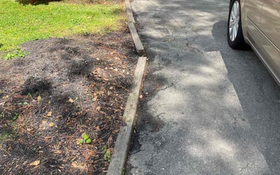 Photo of Alexis G.'s yard after getting landscaping in Sutherland, VA
