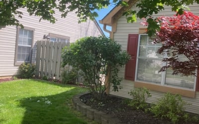 Photo of Mary C.'s yard after getting landscaping in Monrovia, IN