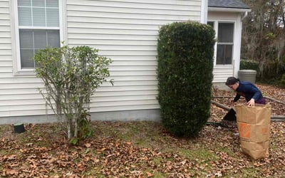 Photo of Robert H.'s yard after getting landscaping in Folly Beach, SC