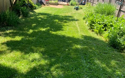 Photo of Kate L.'s yard after getting landscaping in Catlett, VA