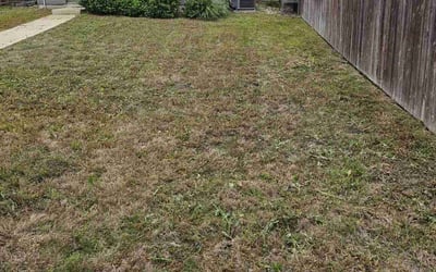 Photo of Linda T.'s yard after getting landscaping in Pflugerville, TX