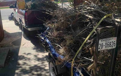 Photo of Michael W.'s yard after getting landscaping in Woodland Park, CO