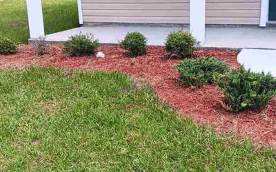 Photo of Mary S.'s yard after getting tree care in Keystone Heights, FL