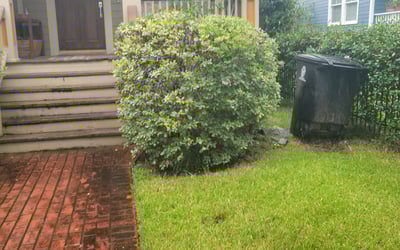 Photo of Allison S.'s yard after getting landscaping in Freeport, TX