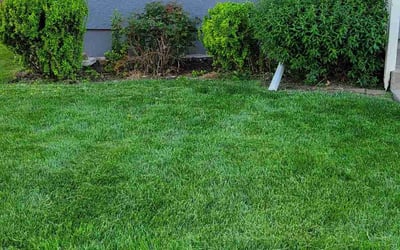 Photo of Paul M.'s yard after getting landscaping in Archie, MO