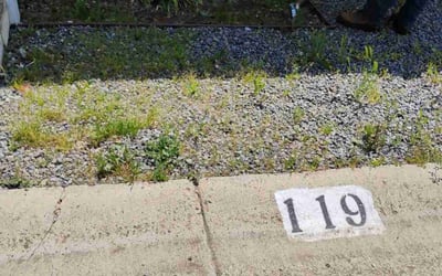 Photo of Phileshia M.'s yard after getting landscaping in Spring Valley, CA