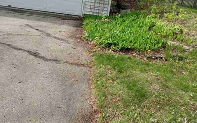 Photo of William B.'s yard after getting landscaping in Cottage Grove, WI