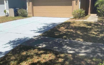 Photo of Gayle G.'s yard after getting landscaping in Gibsonton, FL
