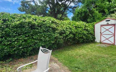 Photo of John C.'s yard after getting landscaping in Norfolk, VA