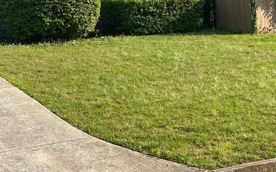 Photo of Jayme S.'s yard after getting landscaping in Bostwick, GA