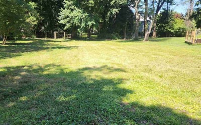 Photo of Calvin R.'s yard after getting tree care in Rockville, MD