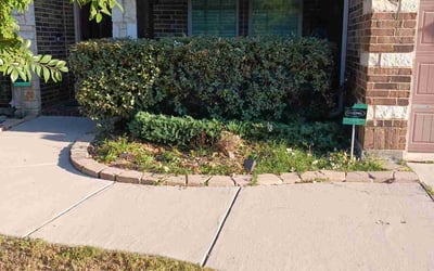 Photo of Michael M.'s yard after getting landscaping in Millsap, TX
