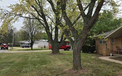 Photo of Jeffrey S.'s yard after getting landscaping in Goddard, KS