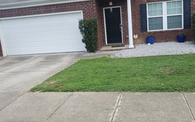 Photo of Weber D.'s yard after getting landscaping in Lafayette, TN