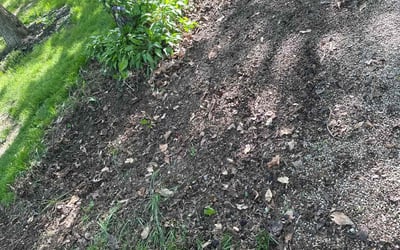 Photo of Megan M.'s yard after getting landscaping in London, OH
