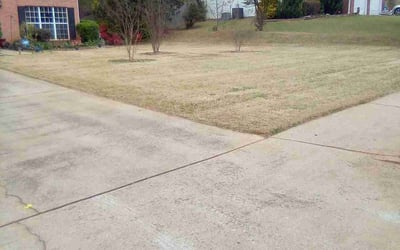 Photo of Karen L.'s yard after getting tree care in Lawrenceville, GA