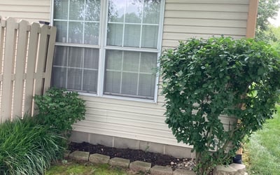 Photo of Mary C.'s yard after getting landscaping in Fairland, IN