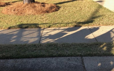 Photo of Jeff L.'s yard after getting landscaping in Red Oak, GA