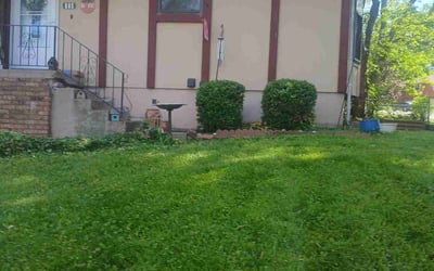 Photo of Karen D.'s yard after getting landscaping in Blue Springs, MO