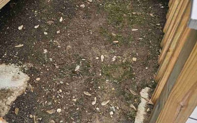 Photo of Samuel B.'s yard after getting landscaping in Annandale, VA