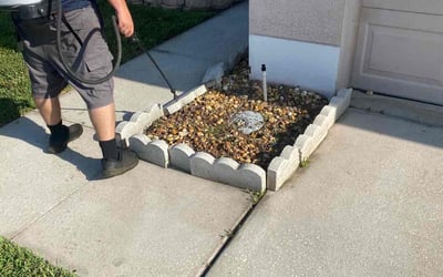 Photo of Ben M.'s yard after getting landscaping in Sydney, FL