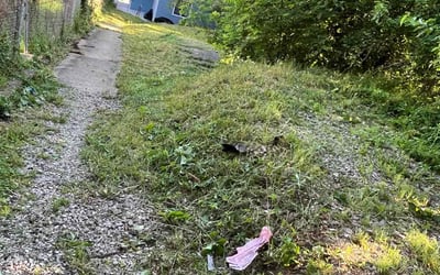 Photo of Jennifer P.'s yard after getting landscaping in Mc Kees Rocks, PA