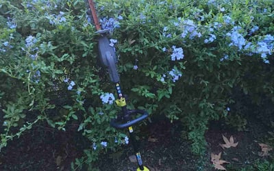Photo of Daniel T.'s yard after getting landscaping in Laguna Beach, CA