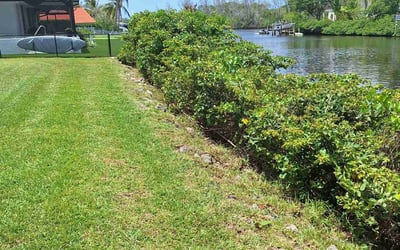 Photo of Carlos S.'s yard after getting tree care in Jupiter, FL