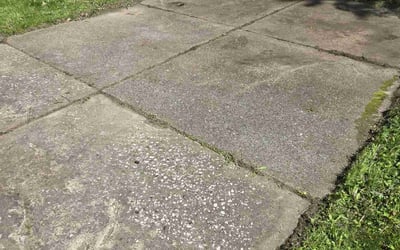 Photo of Holli B.'s yard after getting landscaping in Erie, PA