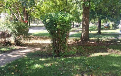 Photo of Jessica M.'s yard after getting landscaping in Newton, KS