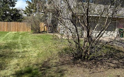 Photo of Joyce H.'s yard after getting landscaping in Norwood Young Americ, MN