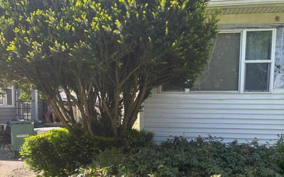 Photo of Aurelia C.'s yard after getting landscaping in Rochester, NY