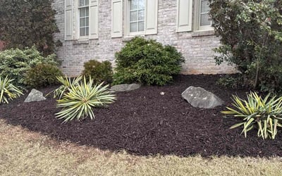 Photo of Helen L.'s yard after getting landscaping in Alpharetta, GA