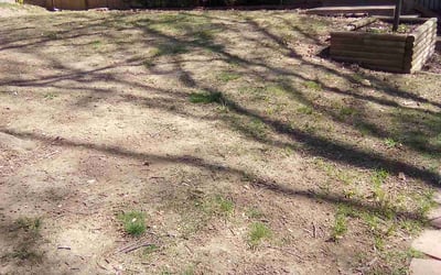 Photo of Brandon B.'s yard after getting landscaping in Overland Park, KS